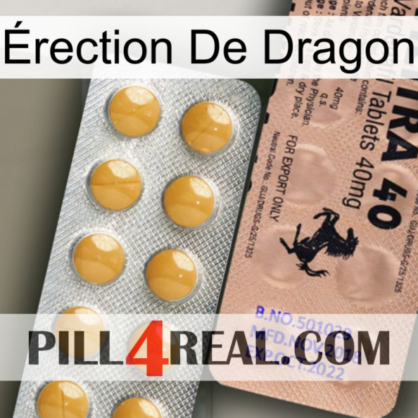 Érection De Dragon 41